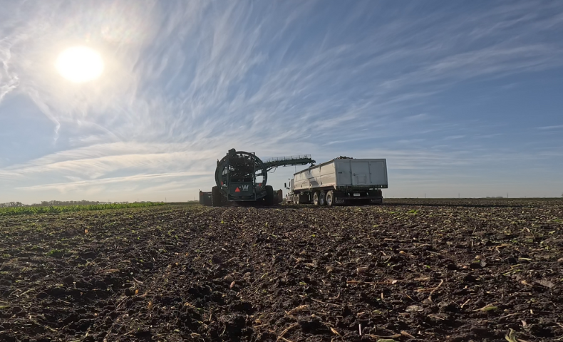 Art's Way beet harvester with open head unloading into semi